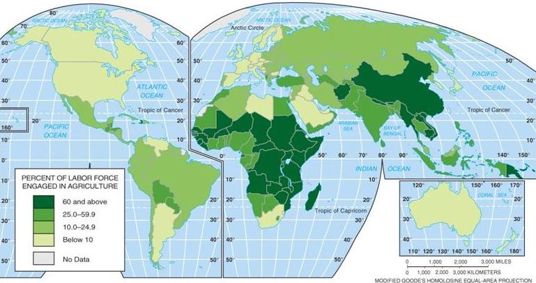 Agriculture Afrique 1