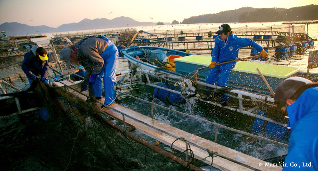 Japon aquaculture