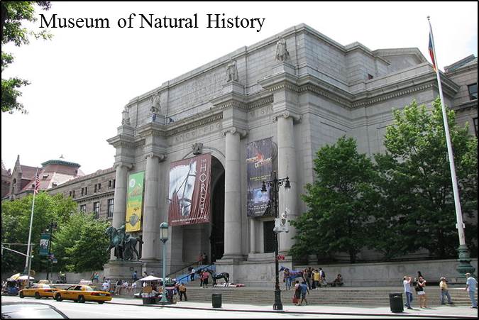 Natural History