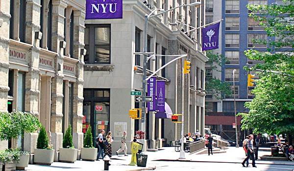 NY University