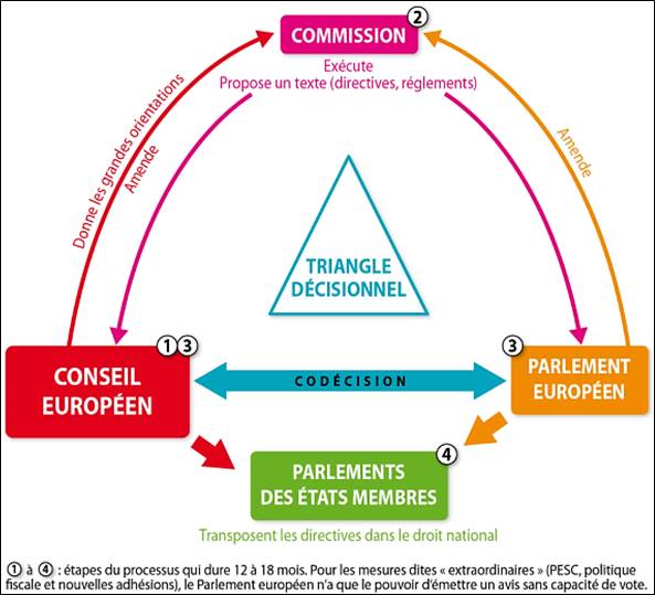 Triangle institutions